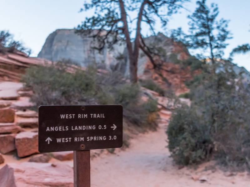 Grand canyon family vacation package